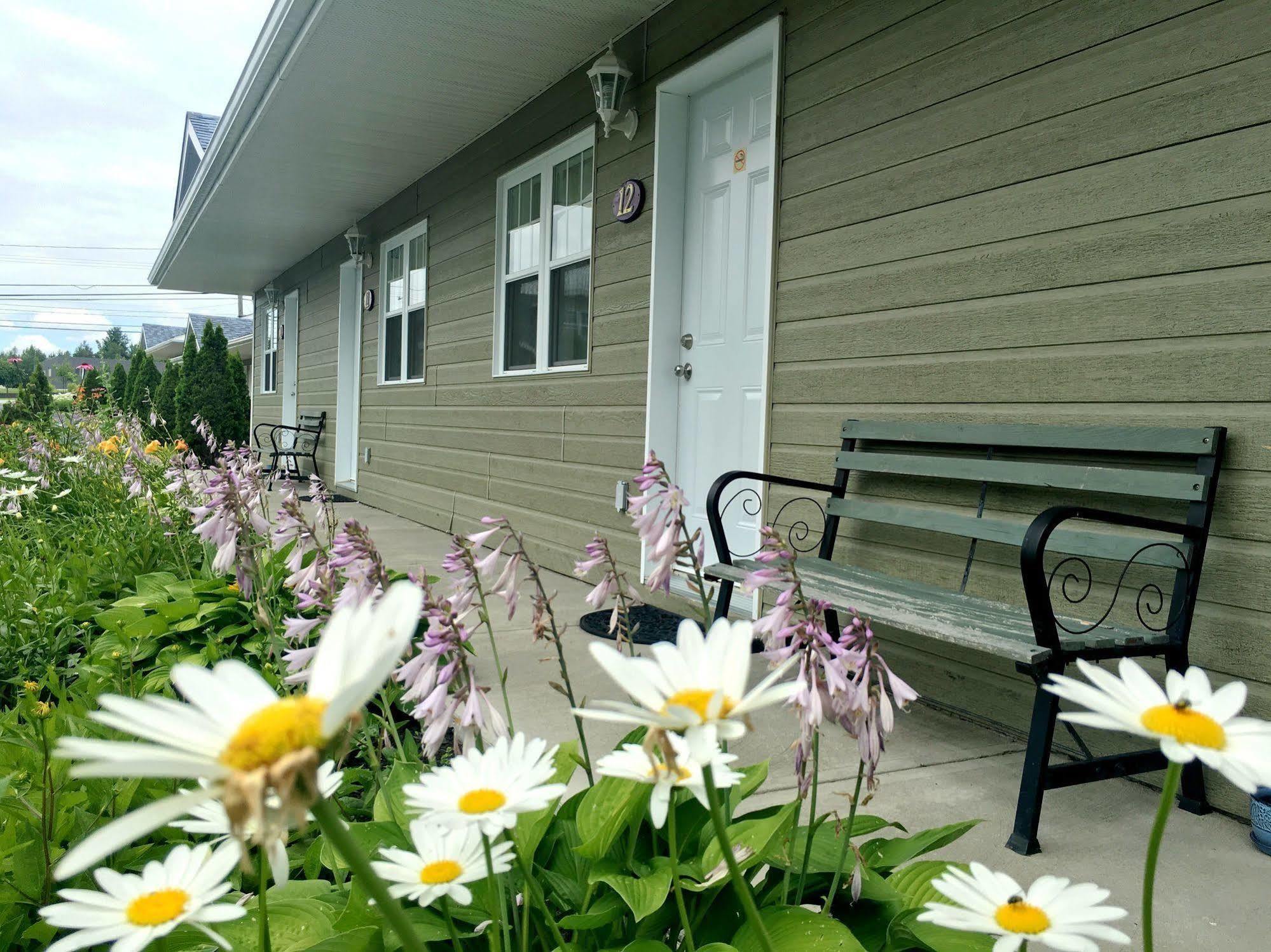 Motel Des Cedres Sherbrooke Exteriör bild