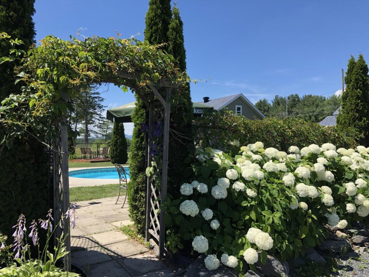 Motel Des Cedres Sherbrooke Exteriör bild